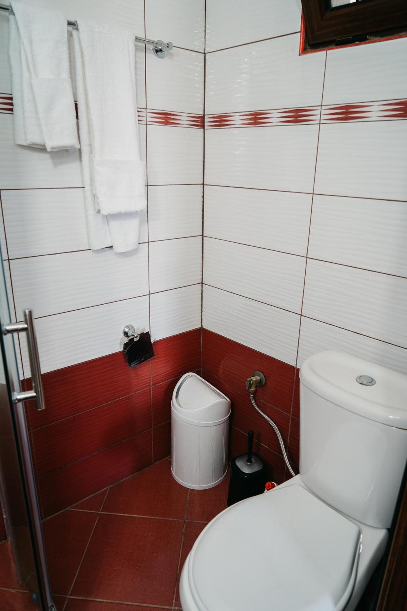 Hotel Bujtina Anlu à Nepravishte Extérieur photo