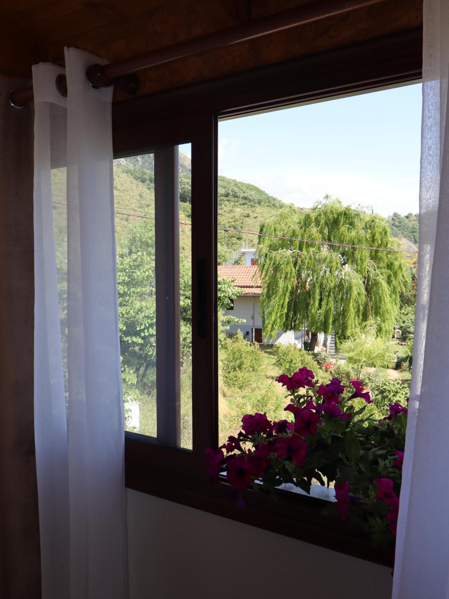 Hotel Bujtina Anlu à Nepravishte Extérieur photo