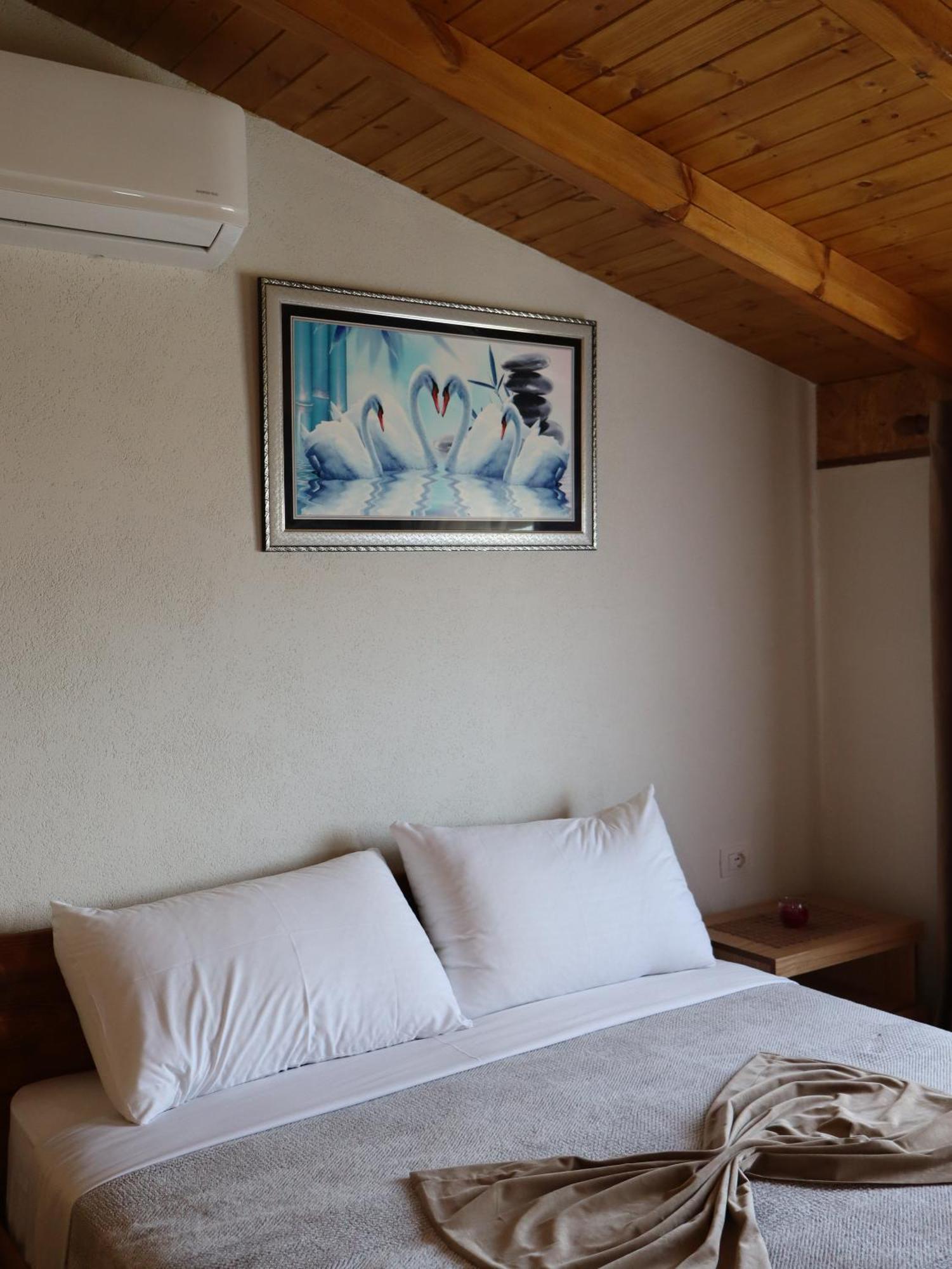 Hotel Bujtina Anlu à Nepravishte Extérieur photo
